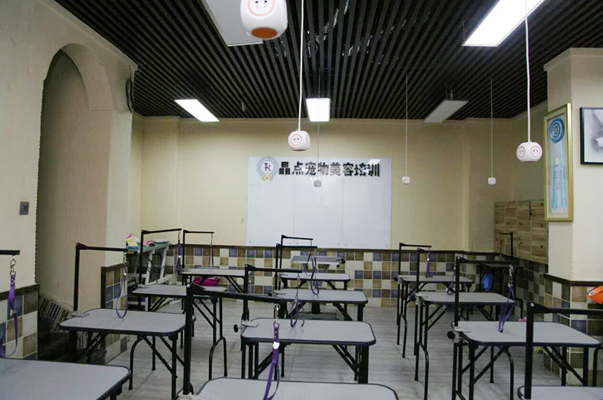 学校环境