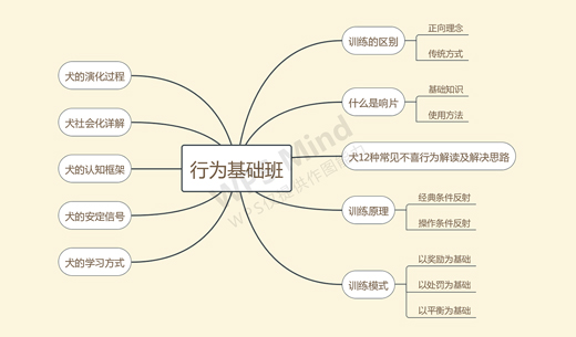 行为基础班